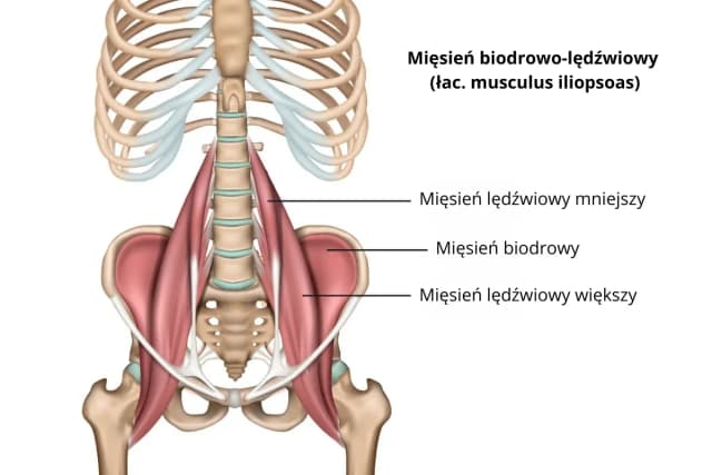 Ból mięśnia biodrowo-lędźwiowego: 5 skutecznych metod rozciągania