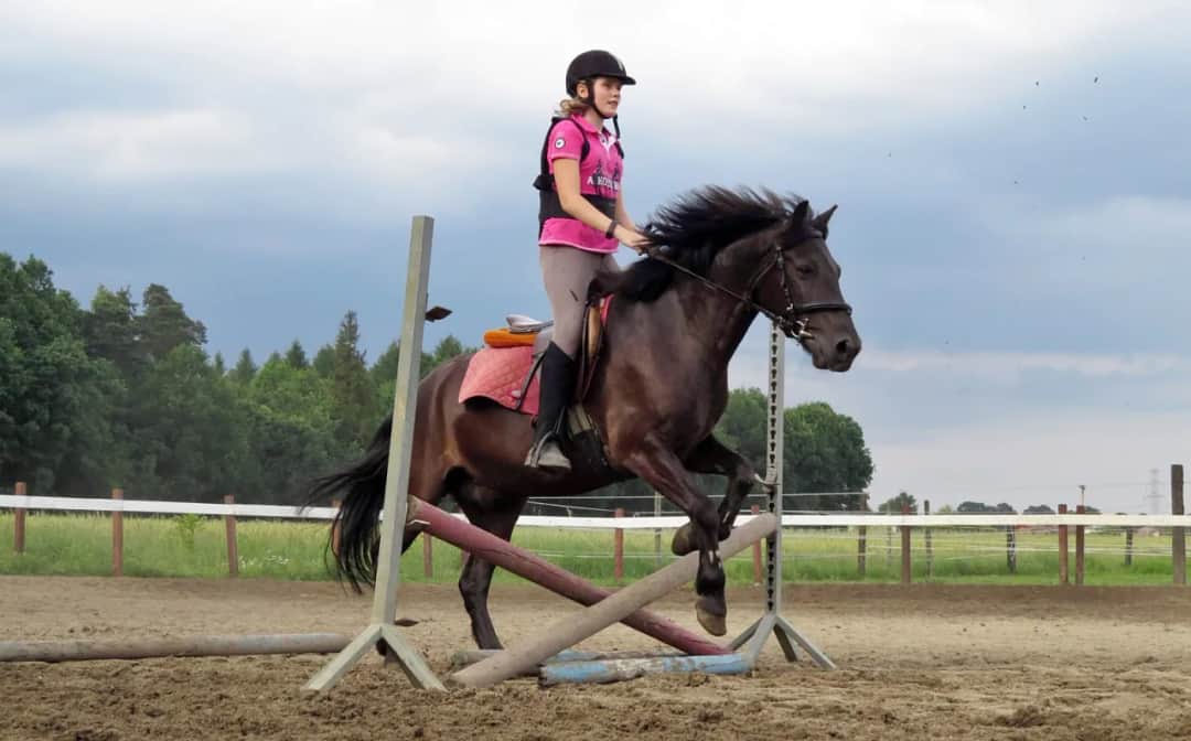 Klub Sportowy Equiright: najlepsze lekcje jazdy konnej w Warszawie