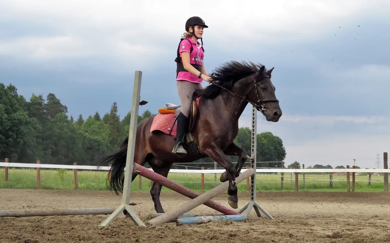 Klub Sportowy Equiright: najlepsze lekcje jazdy konnej w Warszawie