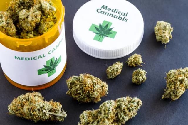 Marihuana lecznicza: zastosowanie i skuteczność w terapii