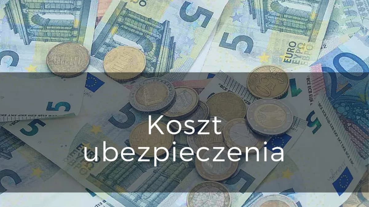 Ile kosztuje ubezpieczenie wolontariusza? Sprawdź, co musisz wiedzieć