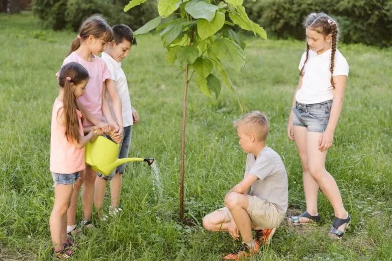Czy wolontariat daje punkty na studia? Odkryj jego prawdziwą wartość