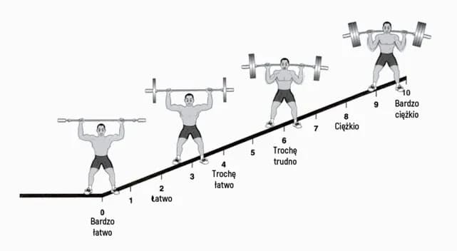 Trening FBW dla początkujących - plan na zbudowanie masy mięśniowej od podstaw