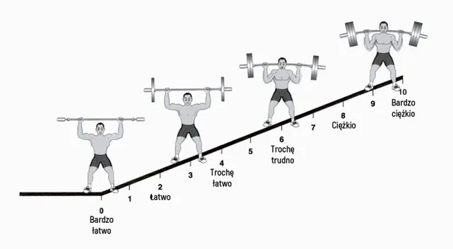Trening FBW dla początkujących - plan na zbudowanie masy mięśniowej od podstaw