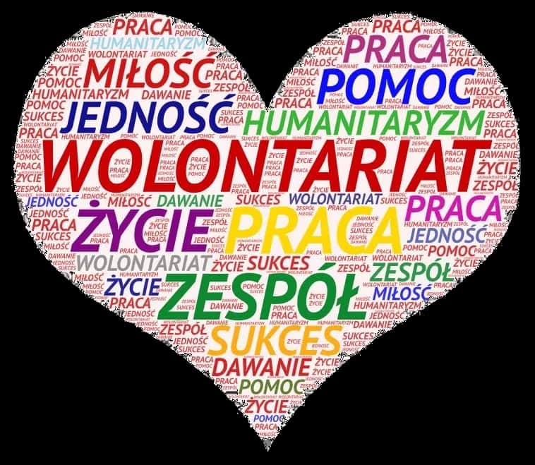 7 najważniejszych cech wolontariusza - jakie są i jak je rozwinąć?