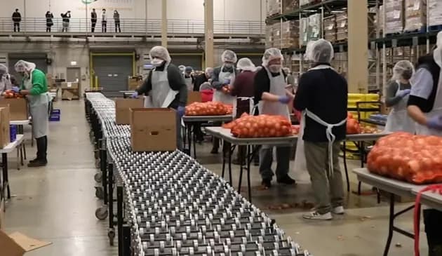 Organizacje pomagające potrzebującym: kompleksowy spis form wsparcia